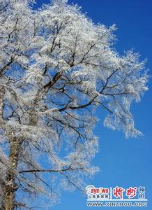 五台天气预报10天查询，末来十天天气