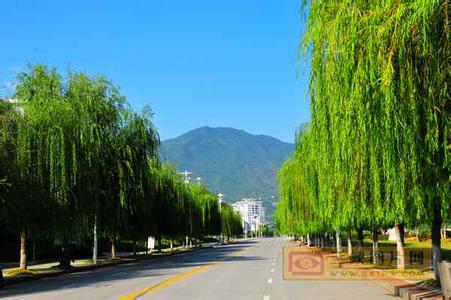 兴山天气预报10天查询，末来十天天气