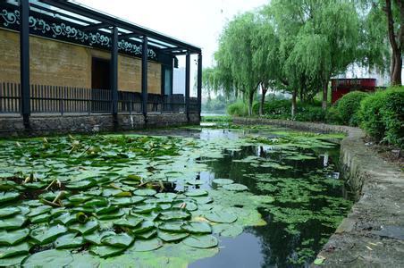 鄞州天气预报10天查询，末来十天天气