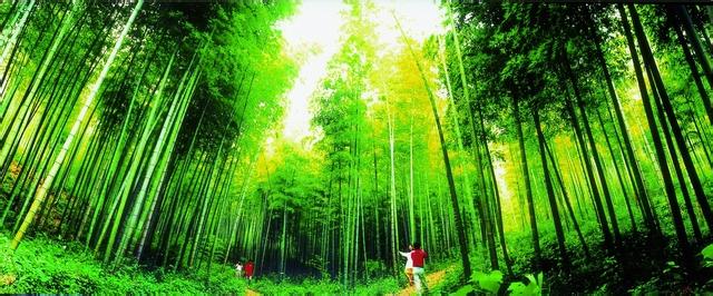 花山天气预报10天查询，末来十天天气