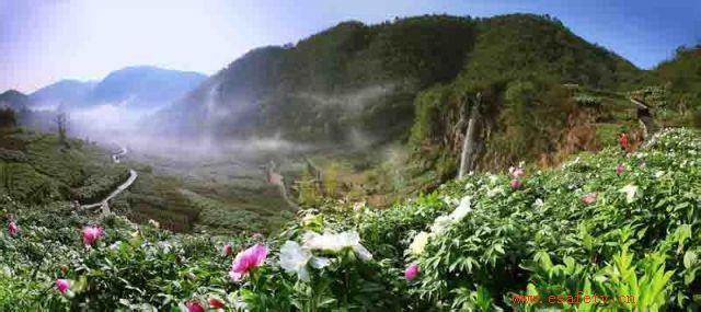 铜陵天气预报10天查询，末来十天天气