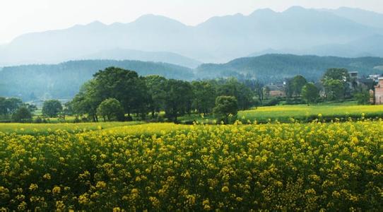 安福天气预报10天查询，末来十天天气