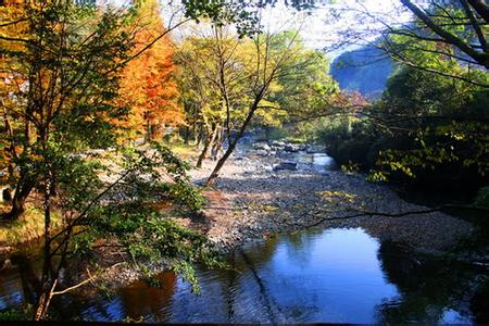 竹溪天气预报10天查询