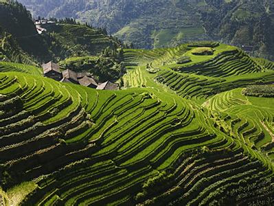 龙胜天气预报10天查询，末来十天天气