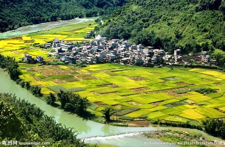 乐业天气预报10天查询，末来十天天气