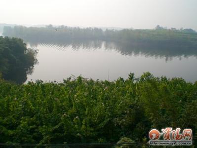 简阳天气预报10天查询，末来十天天气