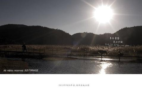 千阳天气预报10天查询，末来十天天气