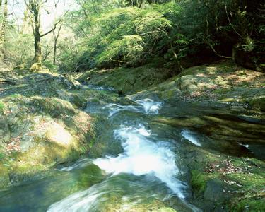 清涧天气预报10天查询，末来十天天气