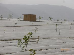 红古天气预报10天查询，末来十天天气