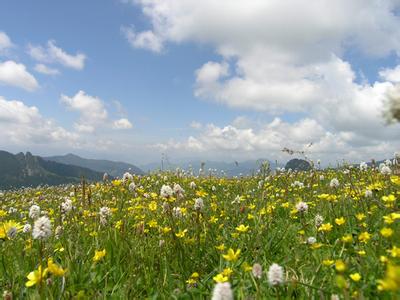 迭部天气预报10天查询，末来十天天气