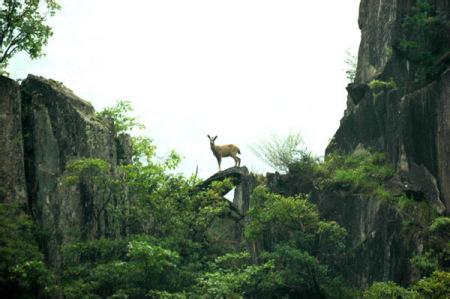 青川天气预报30天查询,青川县一个月天气