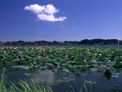 南京高淳天气预报_高淳天气预报一周7天10天15天南京高淳天气预报,高淳天气预报一周7天10天15天