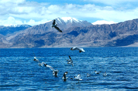 阿里班公湖天气