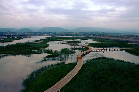 兰州银滩湿地公园