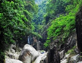 厦门野山谷天气