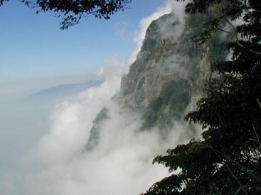 台湾阿里山天气