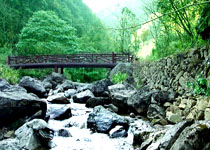 遂昌飞石岭景区