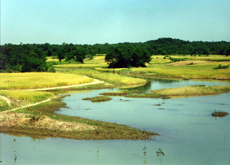 宿迁嶂山森林公园天气