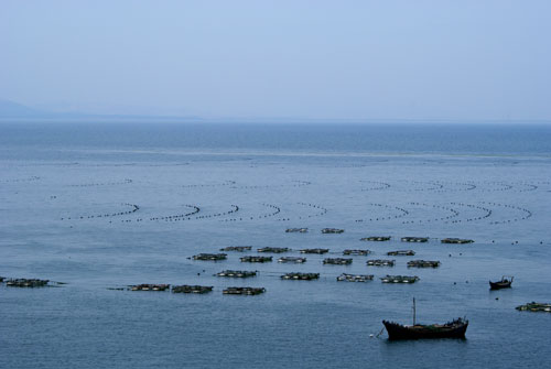 青岛胶南灵山岛天气