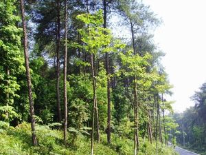 济宁铁山公园天气