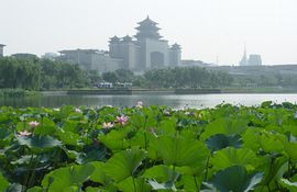 丰台莲花池公园