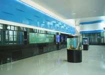 湛江海洋大学水生生物博物馆