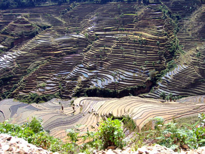 红河阿姆山天气