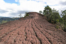 丽江老君山