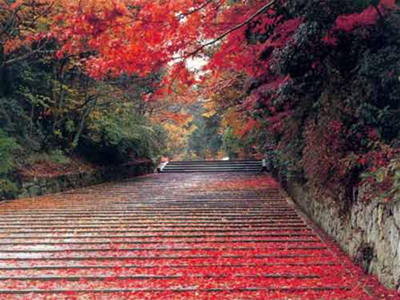 重庆栖霞宫天气