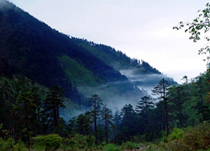 西昌冶勒自然保护区天气