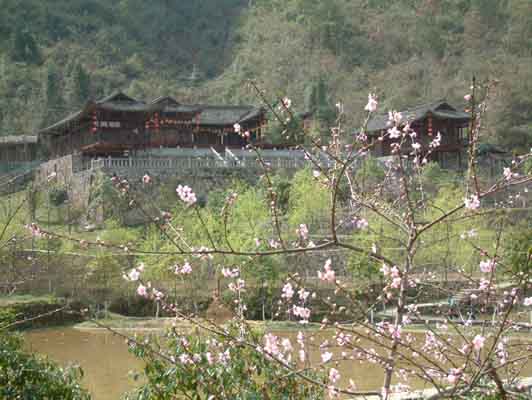 重庆酉阳桃花源