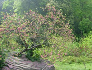 株洲桃源山